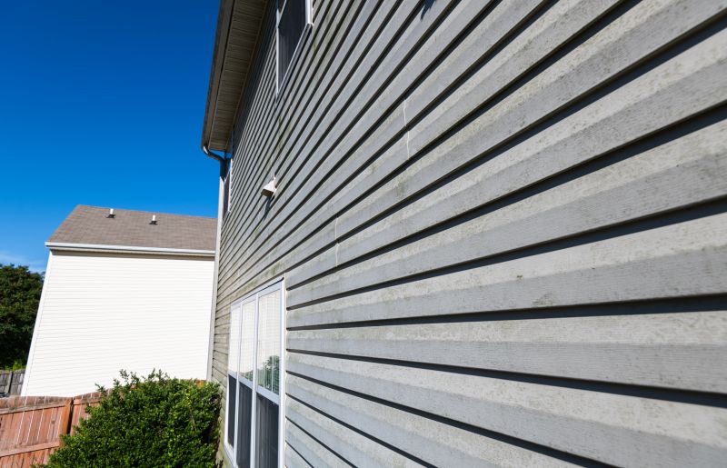 Siding Replacement Options